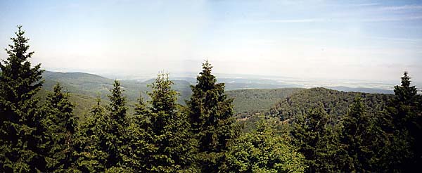 Rennsteig-Tour, 17. und 18. Juni 2000 - Bild 6