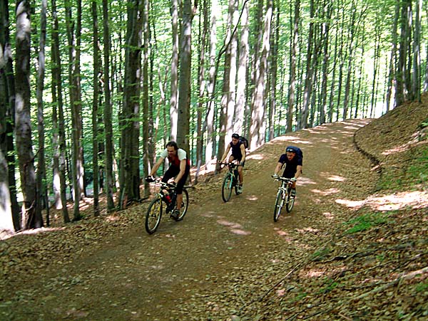 M&auml;nnertag, 24. Mai 2001 - Bild 2